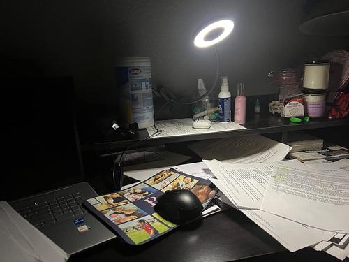 LED Flexible Gooseneck Desk Lamp with 3 Color Modes and 10 Brightness Levels photo review