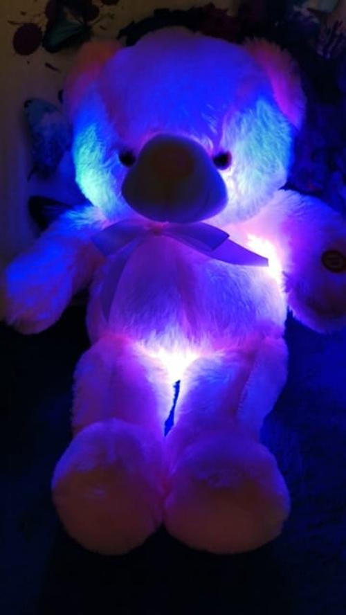 LED Teddy Bear photo review