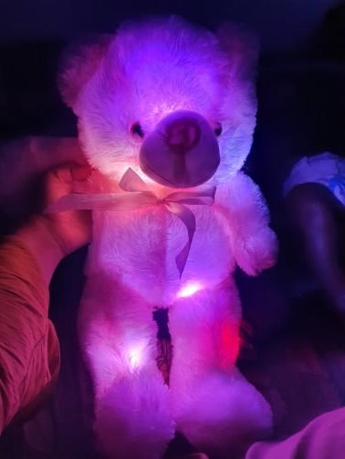 LED Teddy Bear photo review