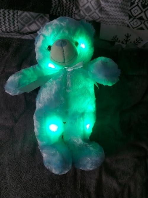 LED Teddy Bear photo review