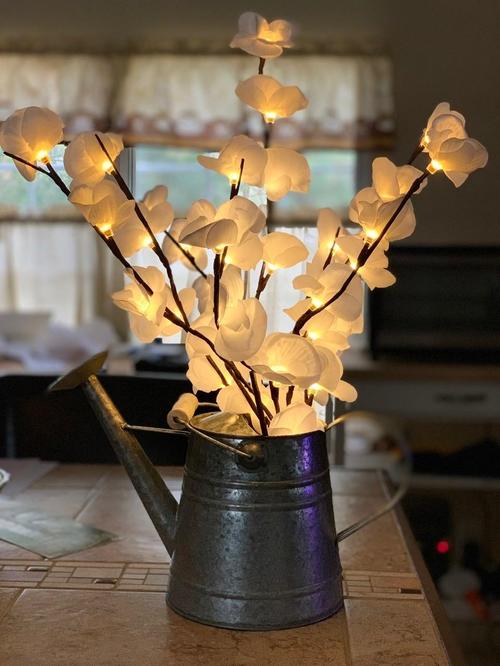 LED Willow Branch Lights for Home Decor photo review