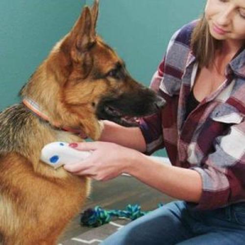 Lice Vacuum Comb For Pets Anti Flea Dog Comb, Electric Lice Remover