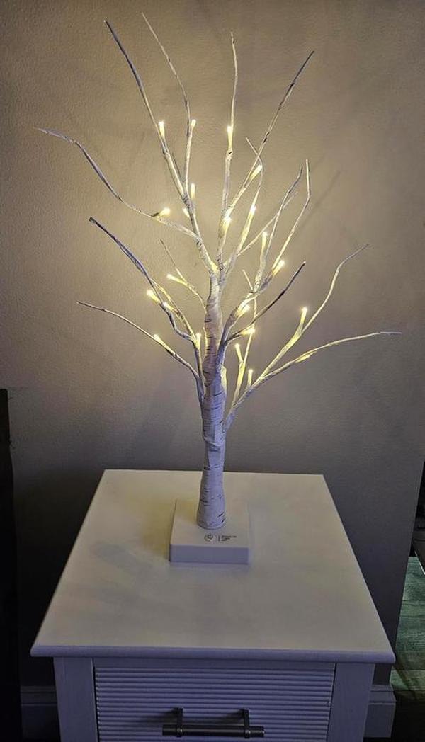 Lighted White Birch Tree for Christmas Decor, Table Decorations Indoor, 24 LED Tabletop Mini Artificial White Trees photo review