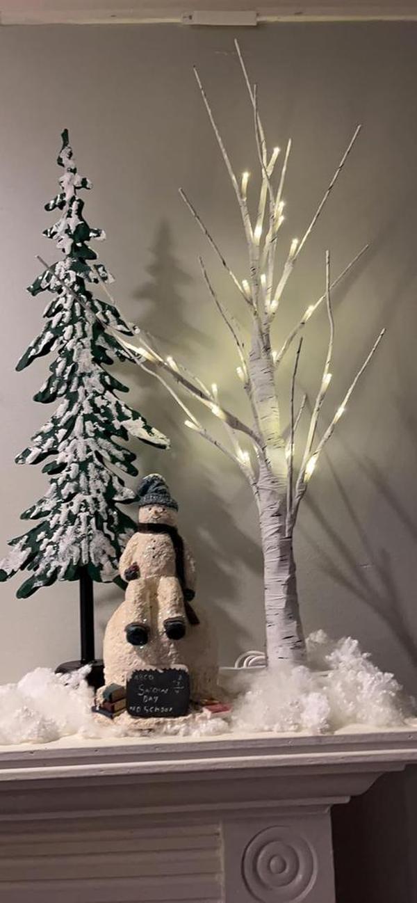 Lighted White Birch Tree for Christmas Decor, Table Decorations Indoor, 24 LED Tabletop Mini Artificial White Trees photo review