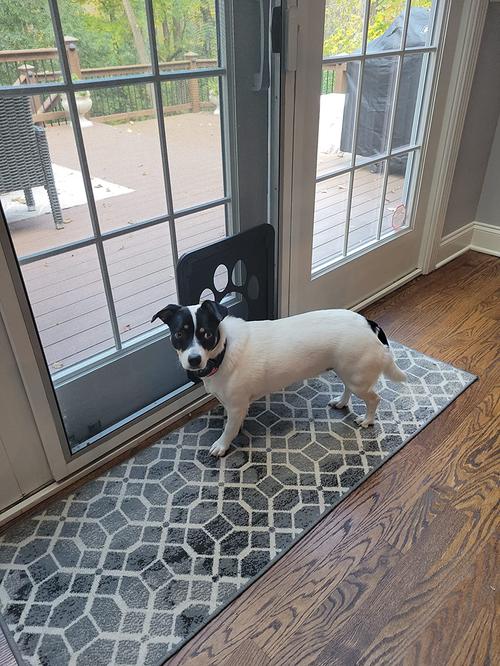 Lockable Pet Door For Home Door Access - Gray photo review