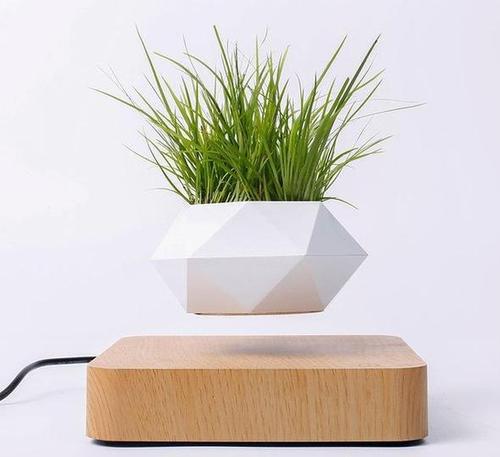 Magnetic Levitating Pot Floating Plant Pot