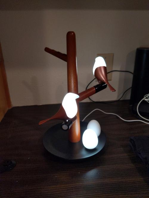 Magnetic Levitation Atmosphere Light with Wireless Charging - Bird's Lamp photo review