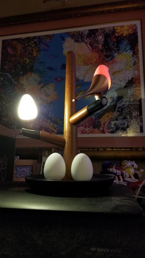 Magnetic Levitation Atmosphere Light with Wireless Charging - Bird's Lamp photo review