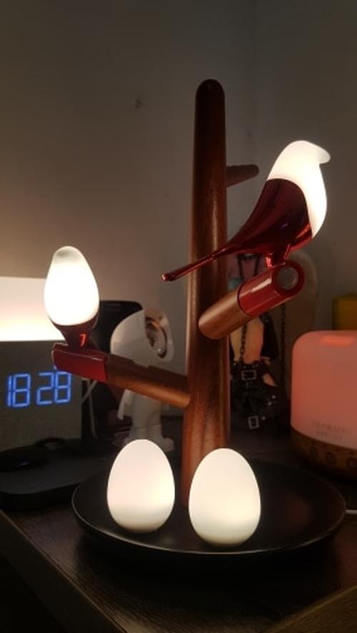 Magnetic Levitation Atmosphere Light with Wireless Charging - Bird's Lamp photo review