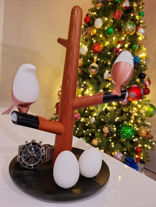 Magnetic Levitation Atmosphere Light with Wireless Charging - Bird's Lamp photo review