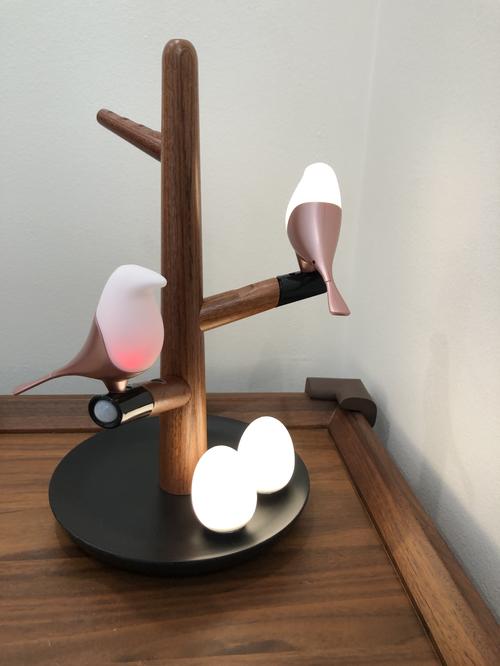 Magnetic Levitation Atmosphere Light with Wireless Charging - Bird's Lamp photo review