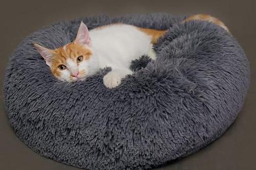 Marshmallow Cat Bed Calming Soft Round Bed