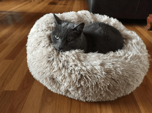 Marshmallow Cat Bed Calming Soft Round Bed photo review