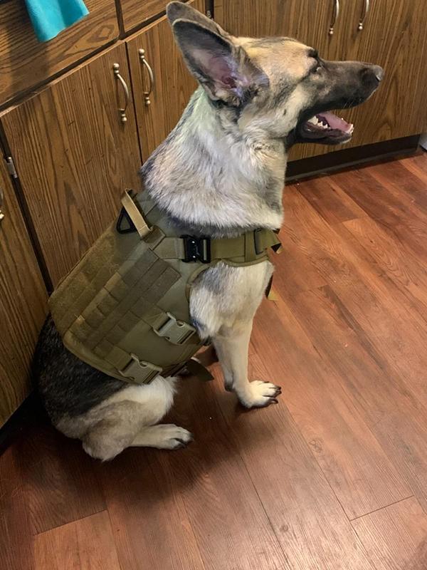 Military Tactical Dog Harness, Tactical Dog Clothes Outdoor Dog Vest photo review