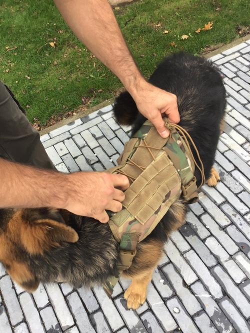 Military Tactical Dog Harness, Tactical Dog Clothes Outdoor Dog Vest