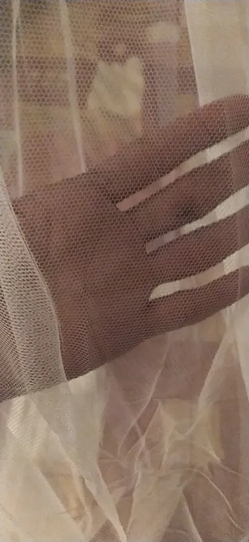 Mosquito Net: For A Queen-Sized Bed photo review