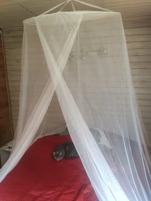 Mosquito Net: For A Queen-Sized Bed photo review