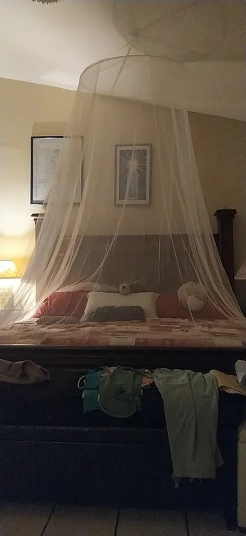 Mosquito Net: For A Queen-Sized Bed photo review