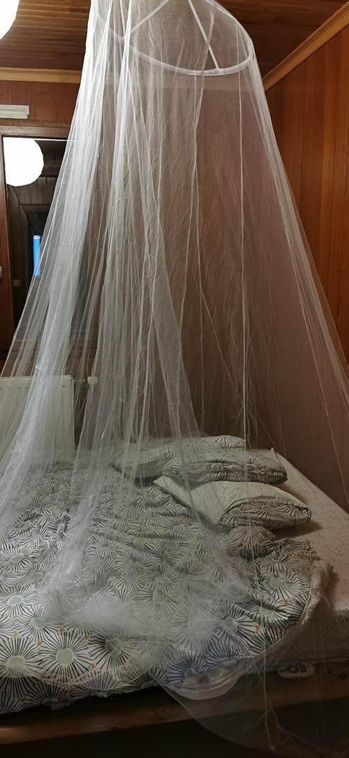 Mosquito Net: For A Queen-Sized Bed photo review