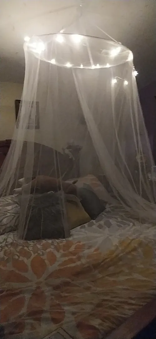 Mosquito Net: For A Queen-Sized Bed photo review