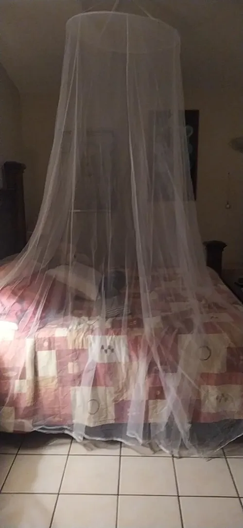 Mosquito Net: For A Queen-Sized Bed photo review