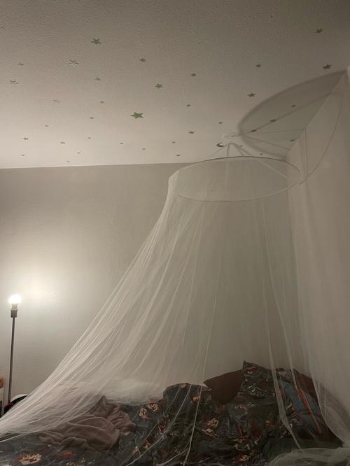 Mosquito Net: For A Queen-Sized Bed photo review