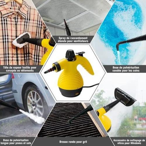 Multi-function portable steam cleaner