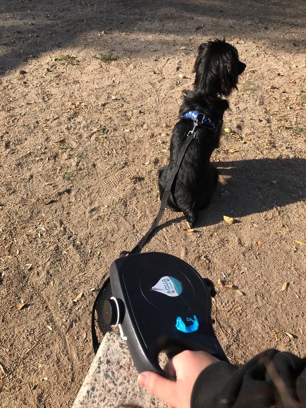 Multi-Functional Dog Leash With Water Bottle Bowl & Waste Bag Dispenser photo review