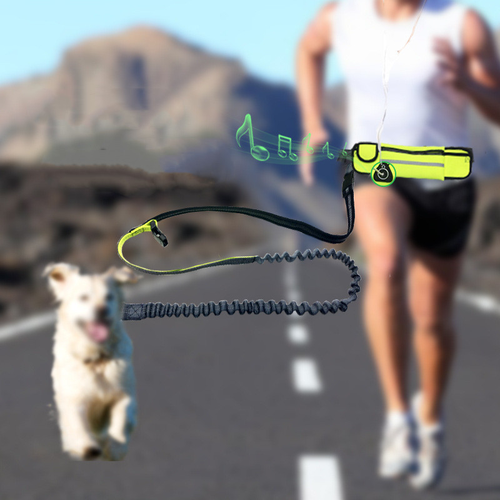 Multi-Functional Waist Pouch Dog Leash: Hands-Free Walking &amp; Training