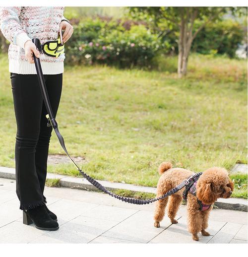 Multi-Functional Waist Pouch Dog Leash: Hands-Free Walking &amp; Training