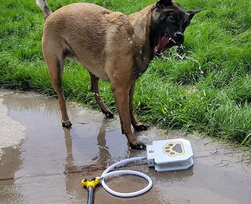 Outdoor drinking fountain for dogs photo review