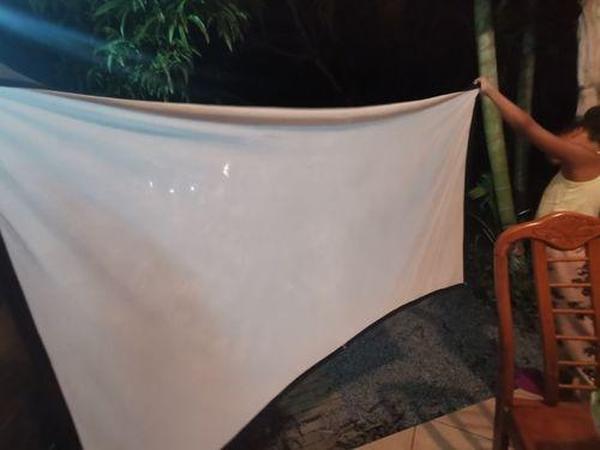 Outdoor Projector Screen (Up to 150 Inches) photo review