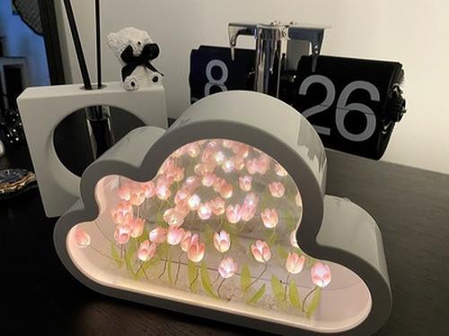 Personalized Photo Cloud Lamp with LED Night Light for Girls' Bedroom Birthday Gifts photo review