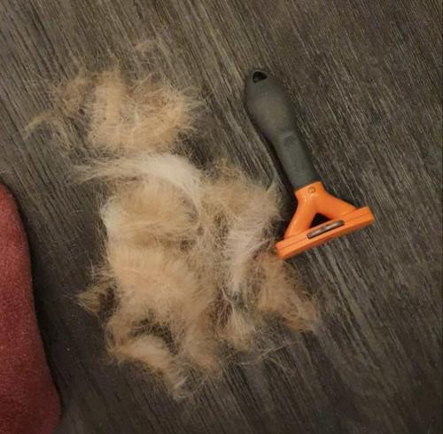 Pet Deshedding Brush Tool photo review