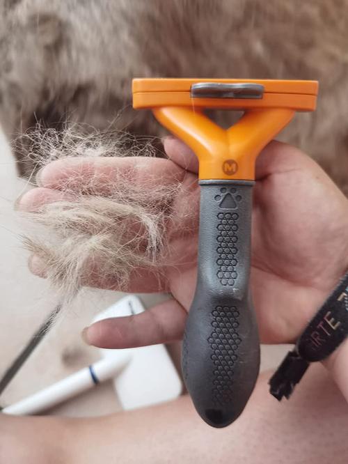 Pet Deshedding Brush Tool photo review