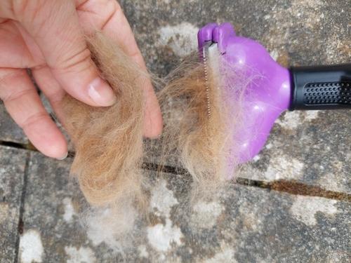 Pet Deshedding Brush Tool photo review