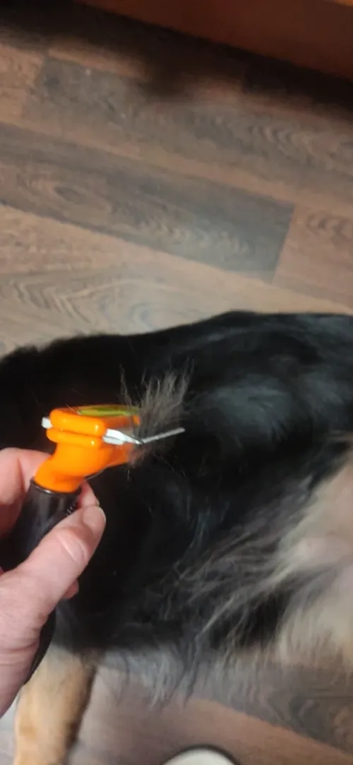 Pet Deshedding Brush Tool photo review