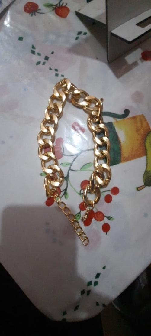 Pet Necklace Thick Gold Chain Plated Plastic Identified Safety Collar Puppy Dogs photo review