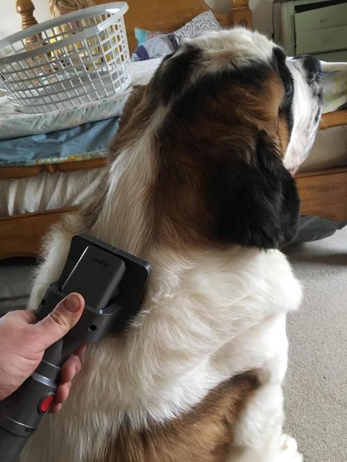 Pet Vacuum Grooming Brush photo review