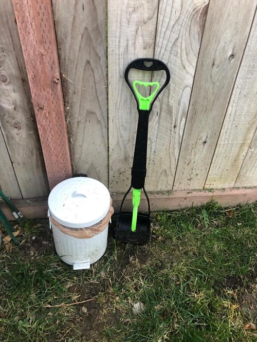 Pooper Scooper, Pet Toilet With Long Handle photo review