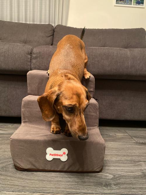 Portable Dog Stairs for High Beds, Sofa, Couch - Lightweight & Durable photo review