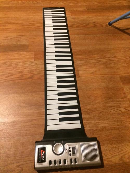 Portable Electric Roll Up Keyboard Piano, 61 Key Hand Roll Piano photo review