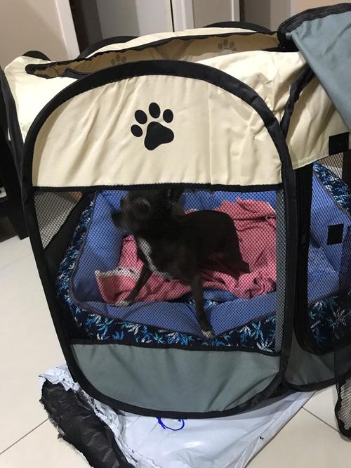 Portable Pet Tent photo review