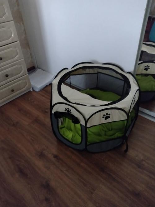 Portable Pet Tent photo review