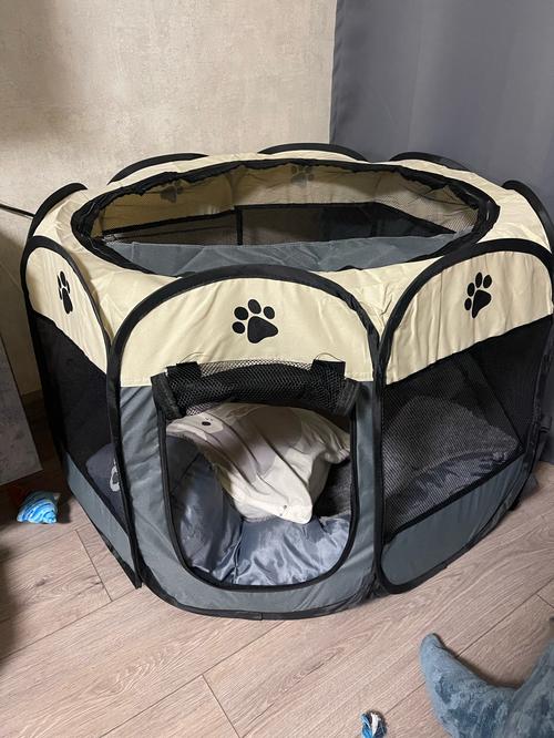 Portable Pet Tent photo review