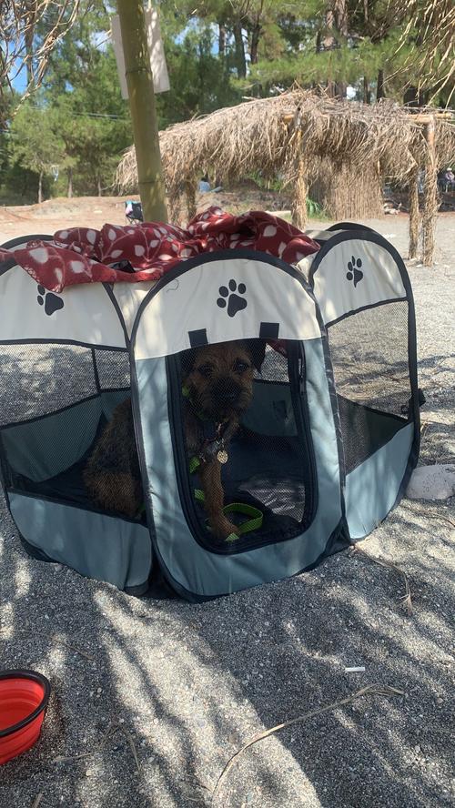 Portable Pet Tent photo review