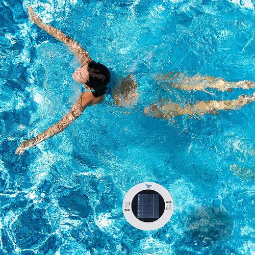 Portable Solar Pool Ionizer for Copper &amp; Silver Ionization - Removes Impurities