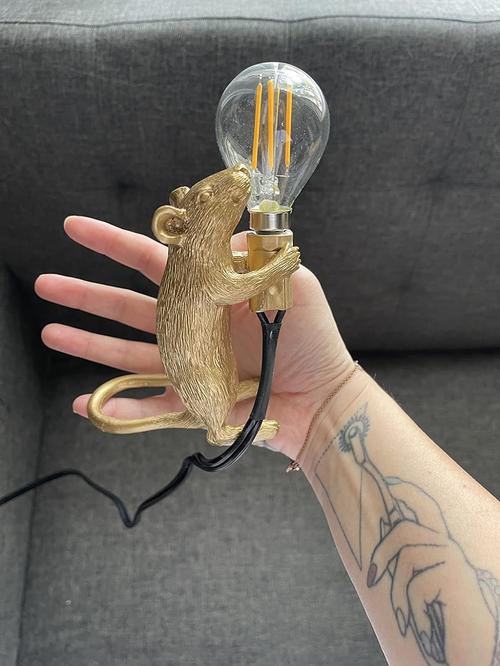 Post-Modern Resin Mouse LED Table Lamp - Creative Night Light for Bedroom, Bedside, Study Desk photo review