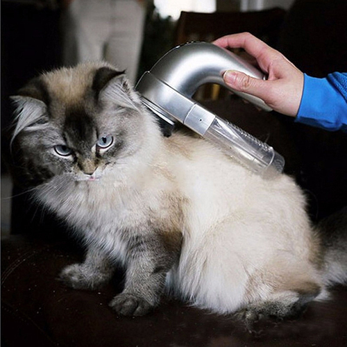 Powerful, Portable, and Gentle Pet Hair Vacuum Cleaner