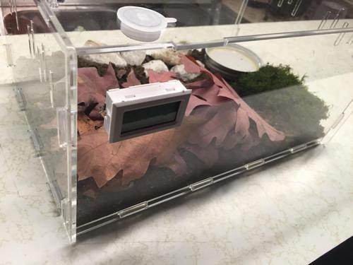 Premium Pvc Transparent Reptile Enclosure Terrarium Tank photo review